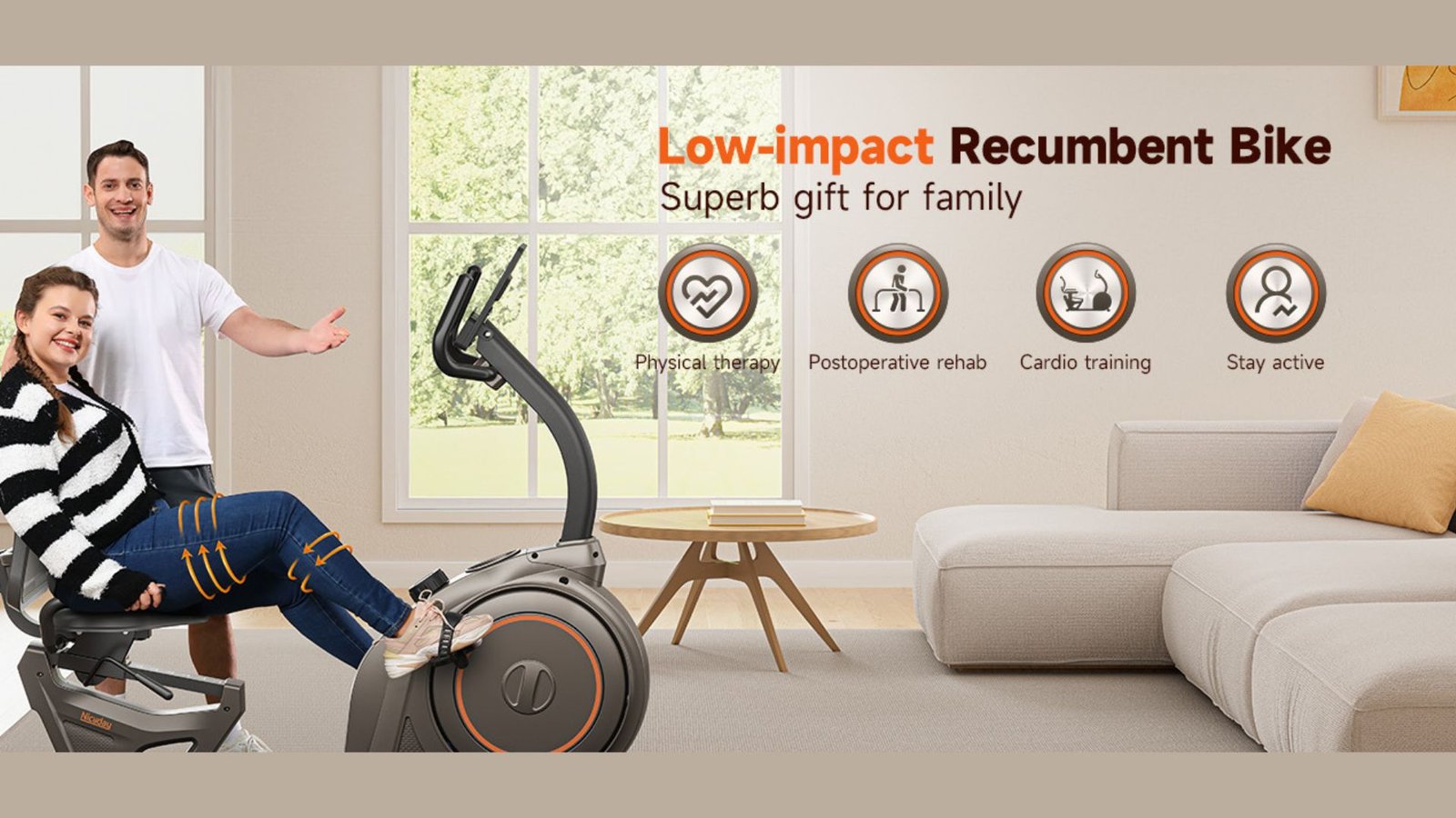 Top Features of Niceday Recumbent Bike